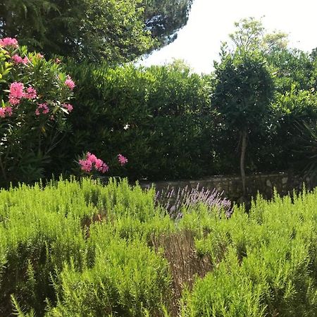 Apartment Sara M Gajac المظهر الخارجي الصورة